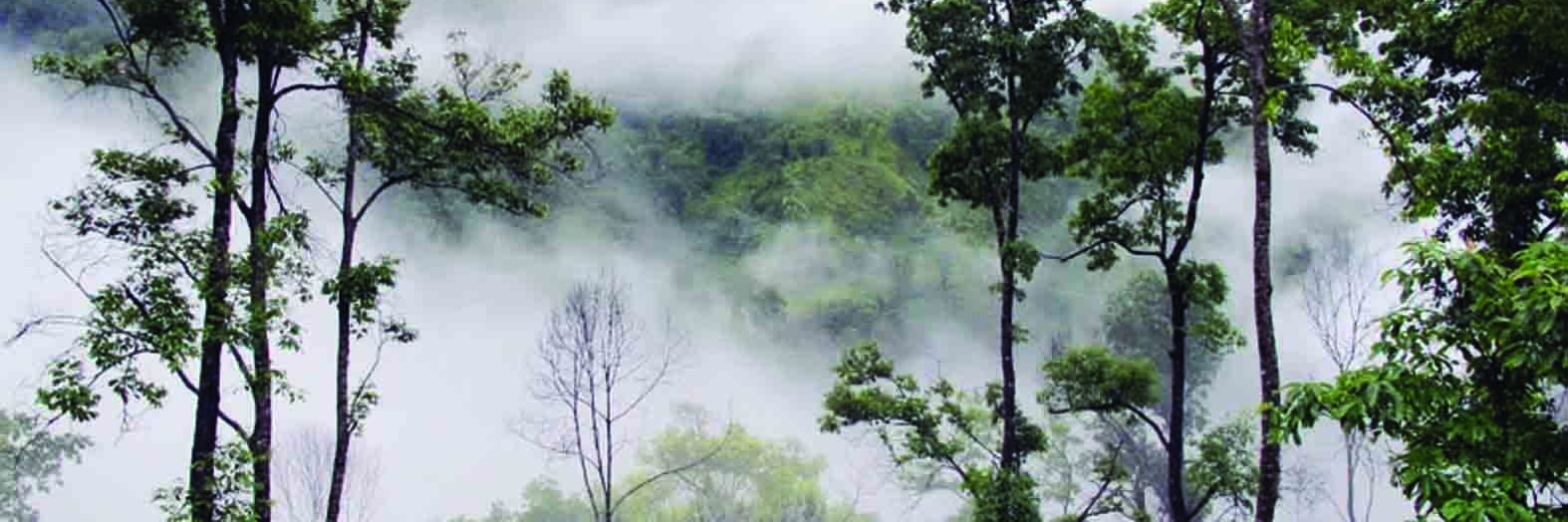 Khu bảo tồn thiên nhiên Mường Tè (Mường Tè Natural Reserve)