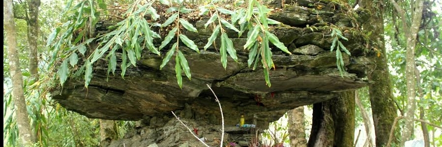 Núi Đá Ô (Umbrella Stone)