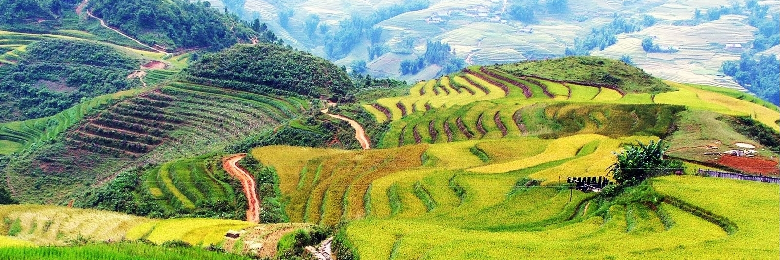 Ruộng bậc thang bản Sín Chải ( Terraced Rice Fields in Shin Chai Village )