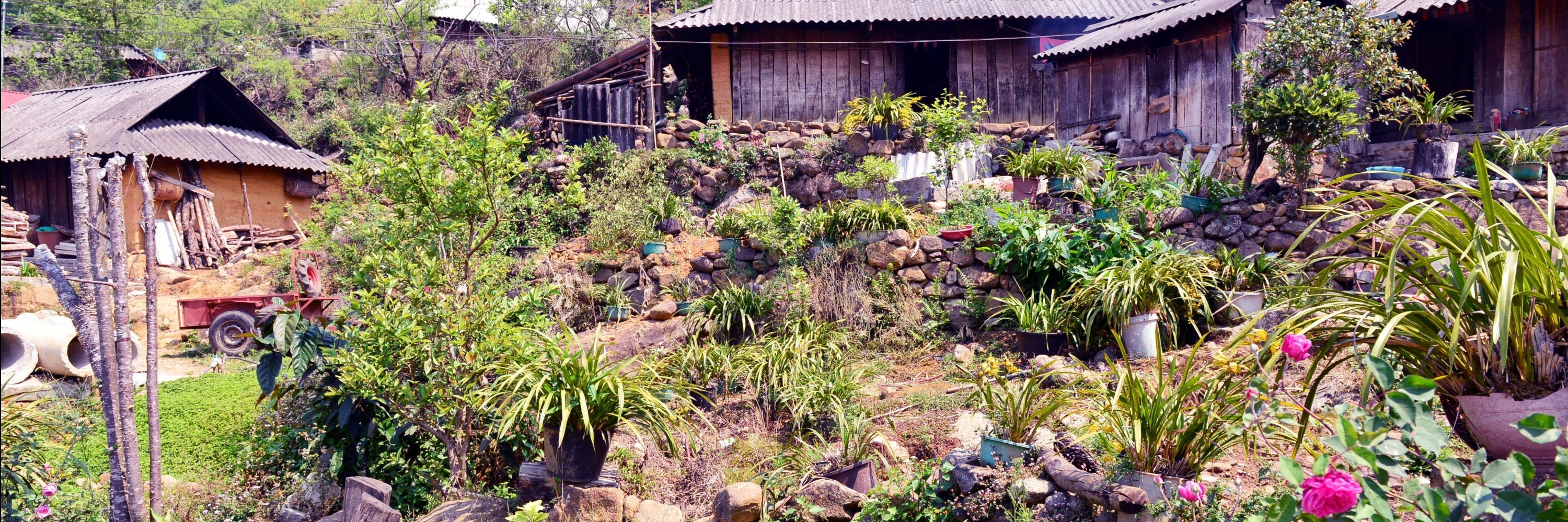 Sì Thâu Chải (Sì Thâu Chải Tourist site)