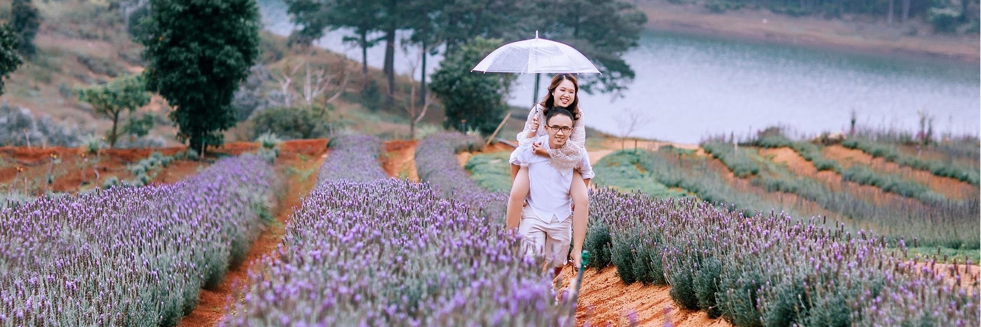 Cánh đồng Lavender khu vực hồ Tuyền Lâm