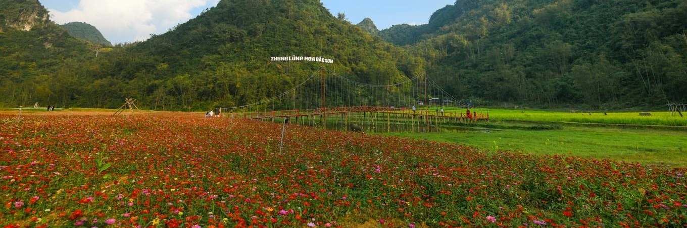 Thung lũng hoa Bắc Sơn