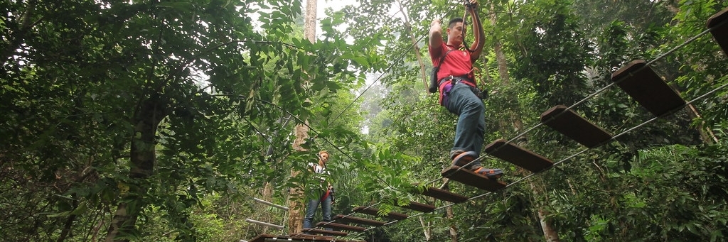 Công viên trò chơi Skytrex Adventure