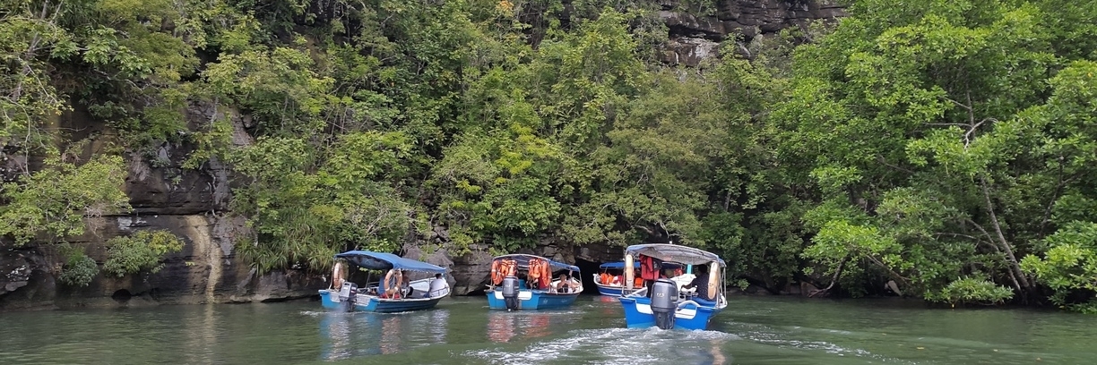 Safari rừng ngập mặn (Mangrove Safari)