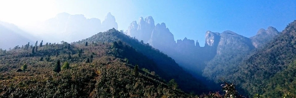 Ngũ Chỉ Sơn - Sapa