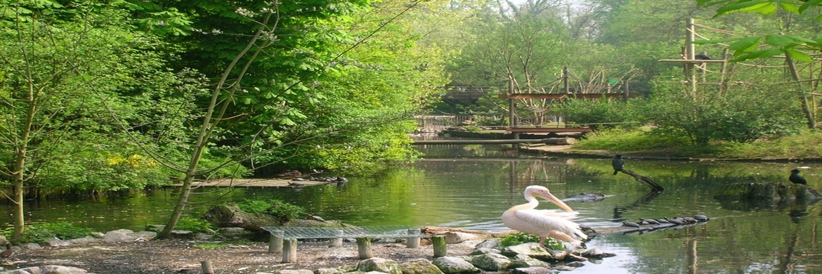 Sở thú Lille (Lille Zoo)