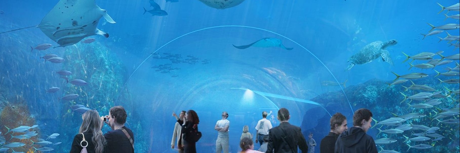 Thủy cung quốc gia Naxi Jia  (Nausica National Sea Center)