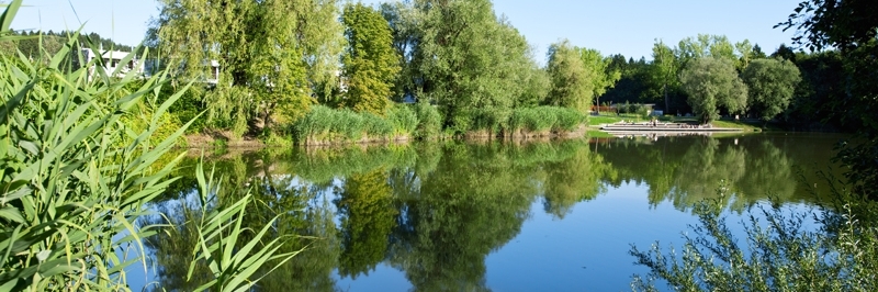 Hồ Koseze (Koseze Pond)