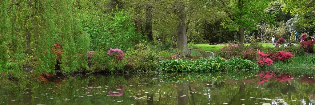 Công Viên Bushy (Bushy park)