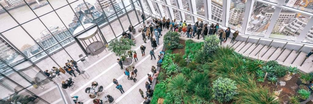 Khu Vườn Trên Mây (Sky Garden)