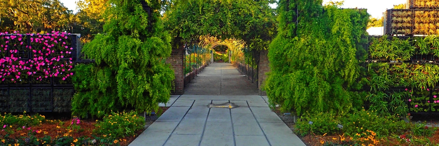 Công viên thành phố New Orleans (New Orleans City Park)