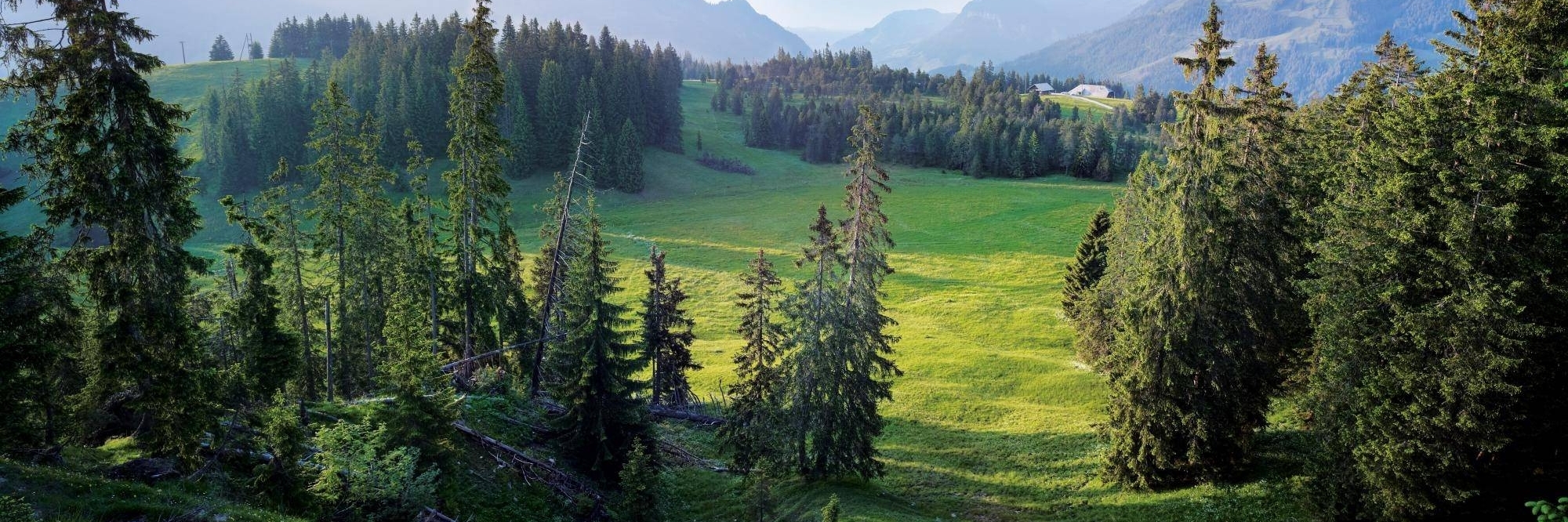 Khu bảo tồn thiên nhiên (Biosphere Entlebuch)
