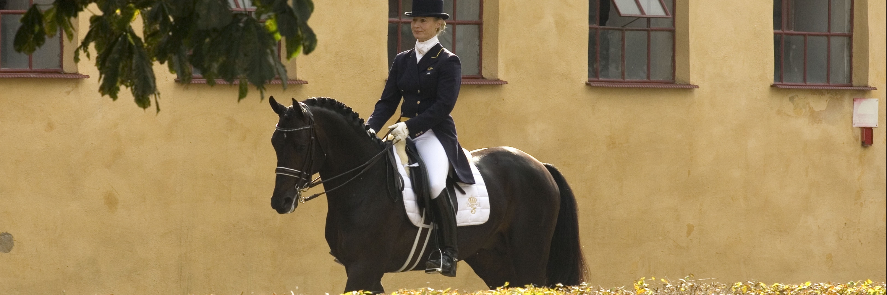 Trung tâm cưỡi ngựa Flyinge (Flyinge Equestrian Center)