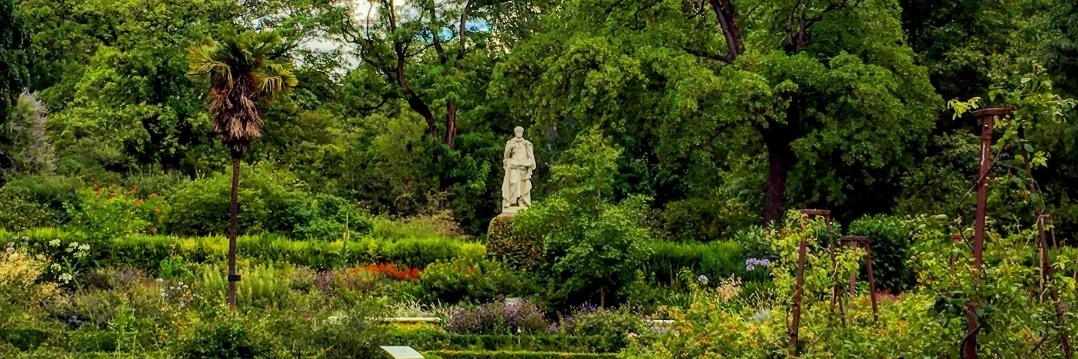 Vườn bách thảo Hoàng gia Madrid (Real Jardín Botánico)