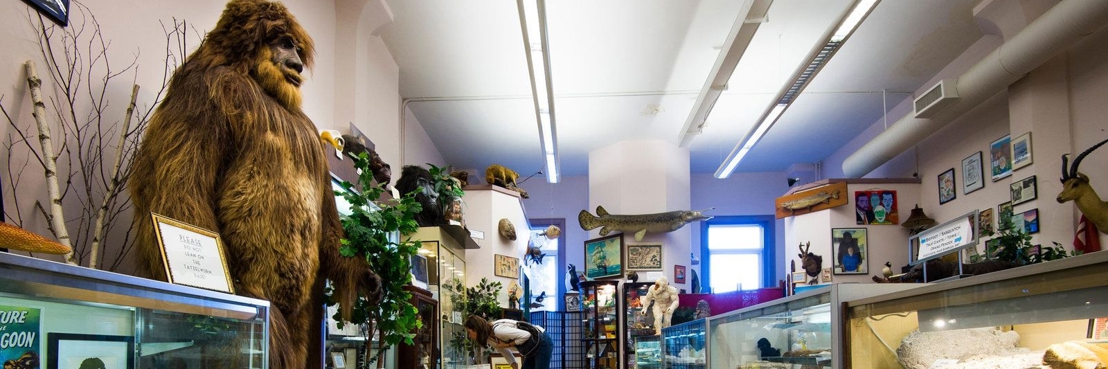 Bảo tàng sinh vật bí ẩn quốc tế (International Cryptozoology Museum)