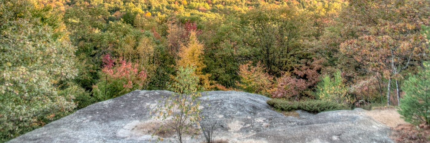 Công viên tiểu bang núi Bradbury (Bradbury Mountain State Park)