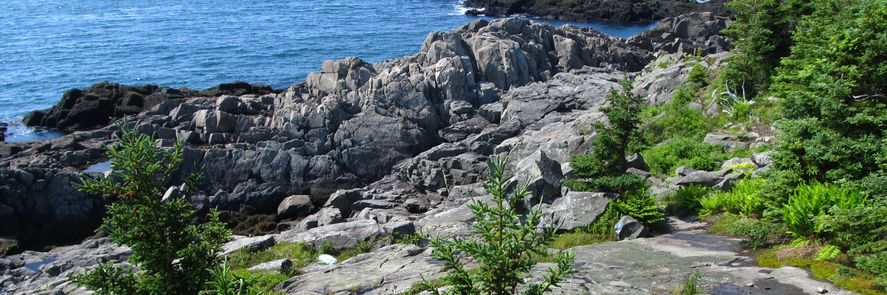 Khu đất dự trữ công cộng Cutler Coast (Cutler Coast Public Reserved Land)