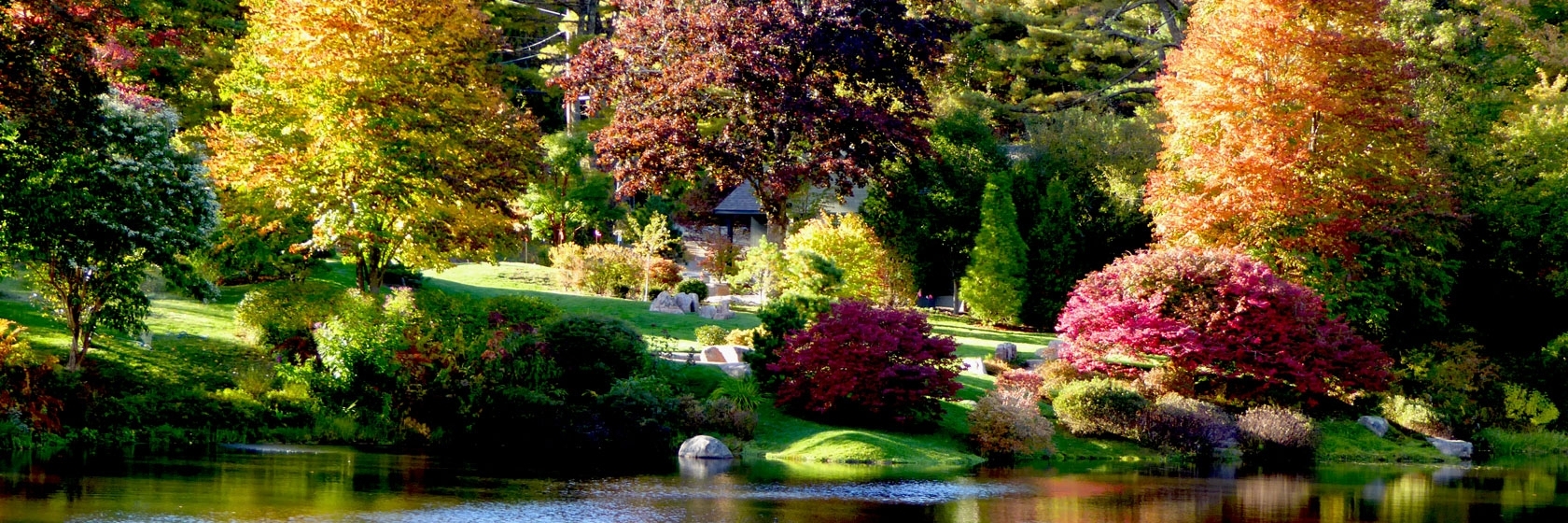 Khu vườn hoa đỗ quyên (Asticou Azalea Garden)
