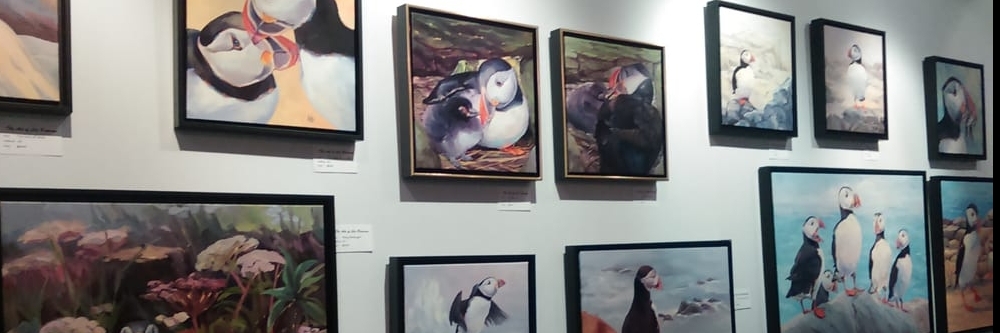 Trung tâm du khách dự án chim hải âu (Puffin Project Visitor Center)