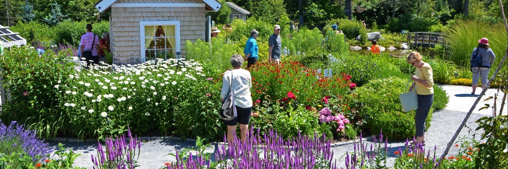 Vườn bách thảo ven biển ở Maine (Coastal Maine Botanical Gardens)