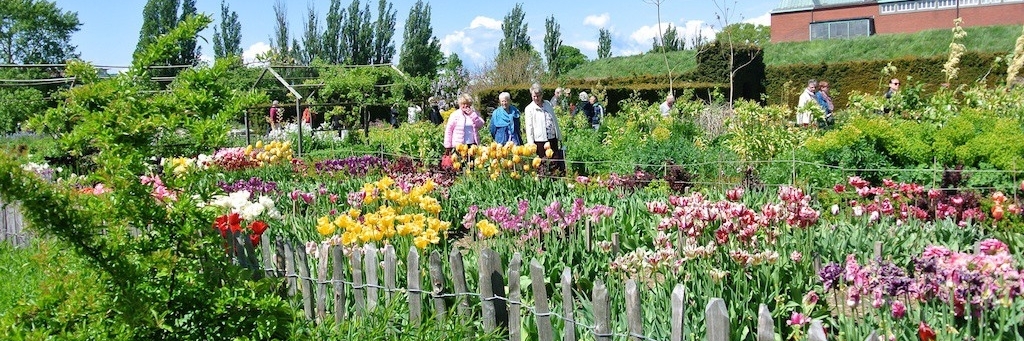Công viên Slottsträdgården Malmo (Slottsträdgården)