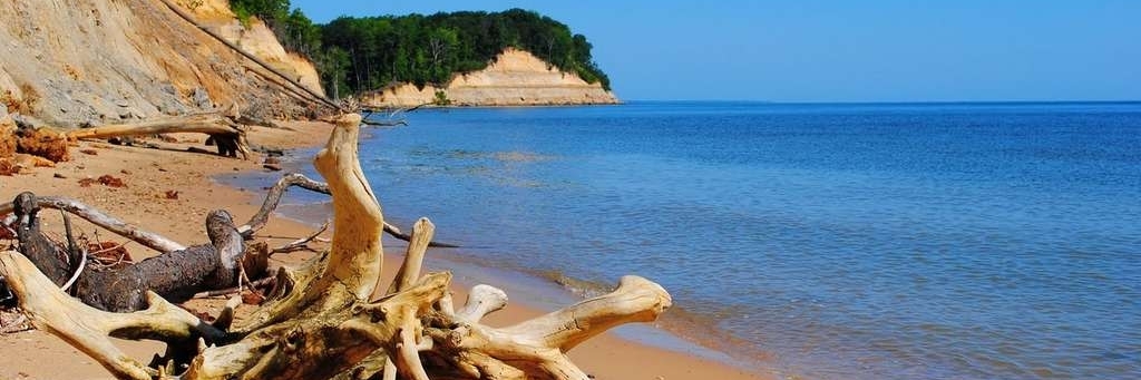 Công viên tiểu bang Calvert Cliffs (Calvert Cliffs State Park)