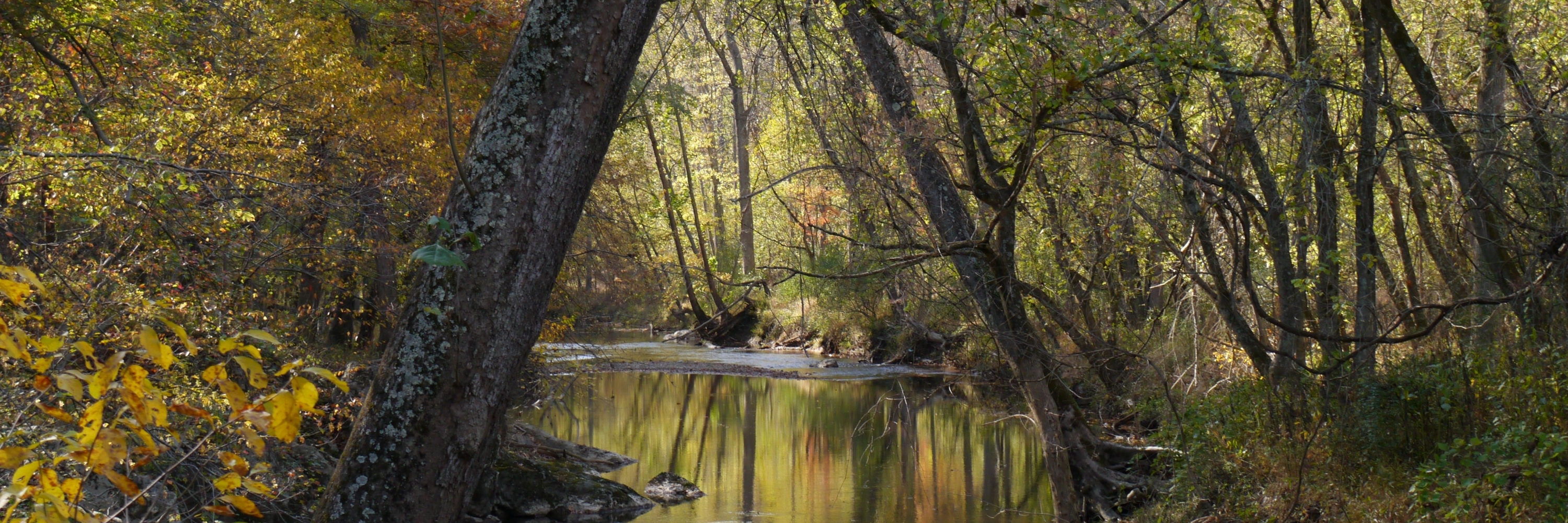 Công viên tiểu bang Seneca Creek (Seneca Creek State Park)