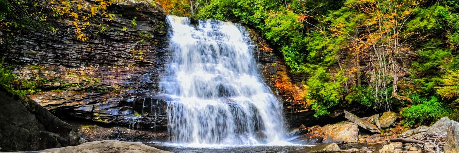 Công viên tiểu bang Swallow Falls (Swallow Falls State Park)