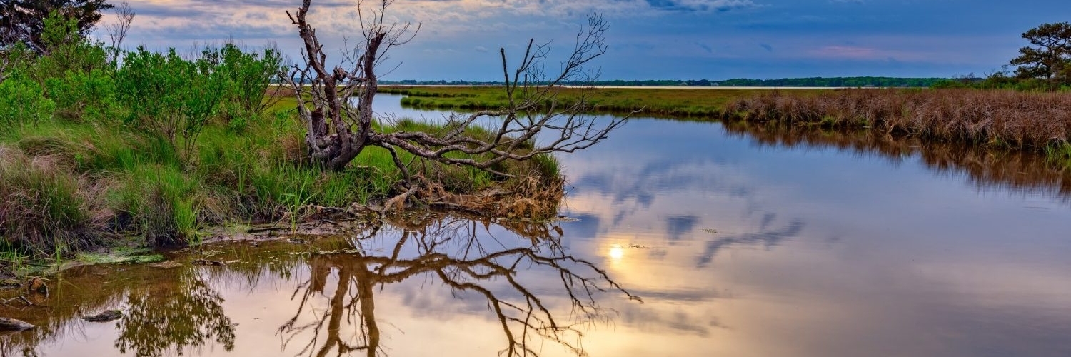 Khu bảo tồn động vật hoang dã quốc gia Blackwater (Blackwater National Wildlife Refuge)