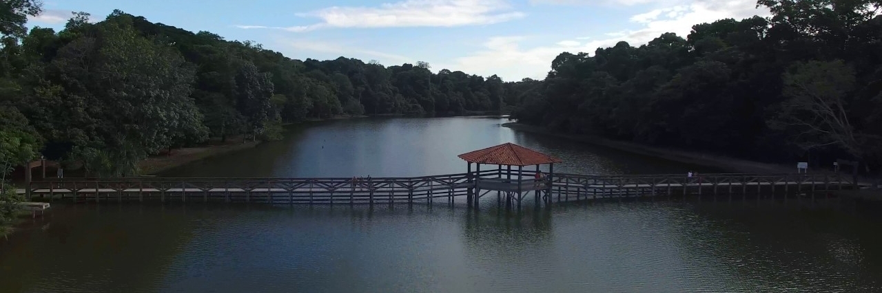 Công viên rừng Sinop (Parque Florestal de Sinop)