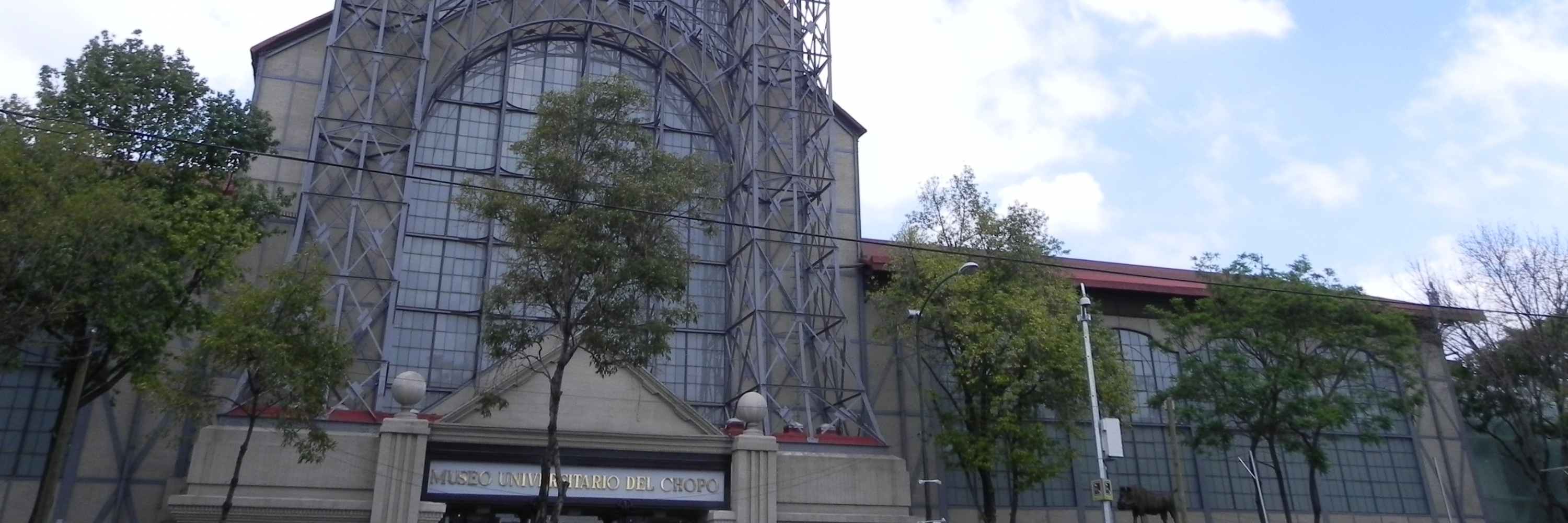 Bảo tàng đại học Del Chopo (Museo Universitario del Chopo)