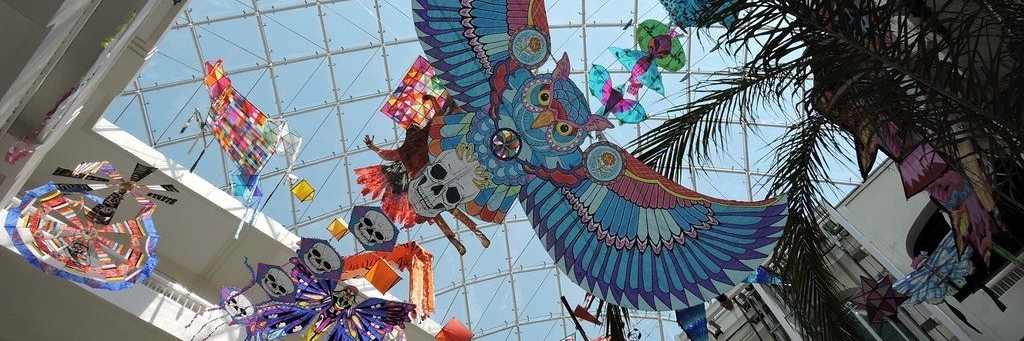 Bảo tàng De arte (Museo de Arte Popular)