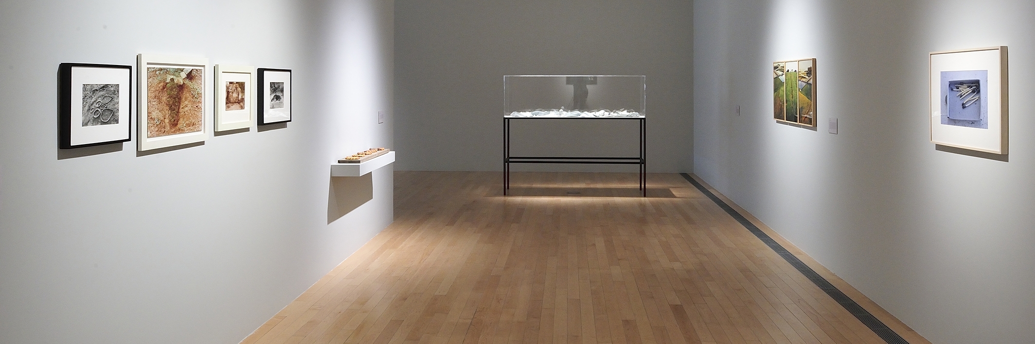 Bảo tàng nghệ thuật Carrillo Gil (Museo de Arte Carrillo Gil)