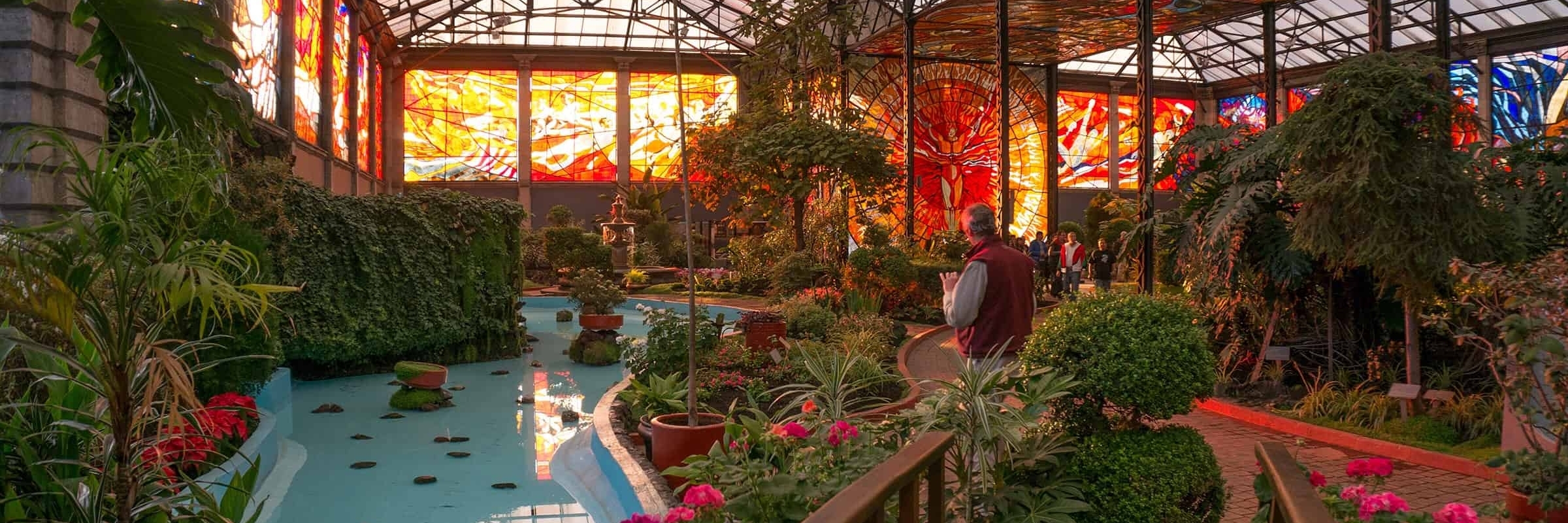 Vườn thực vật Botánico del Bosque de Chapultepec (Jardín Botánico del Bosque de Chapultepec )