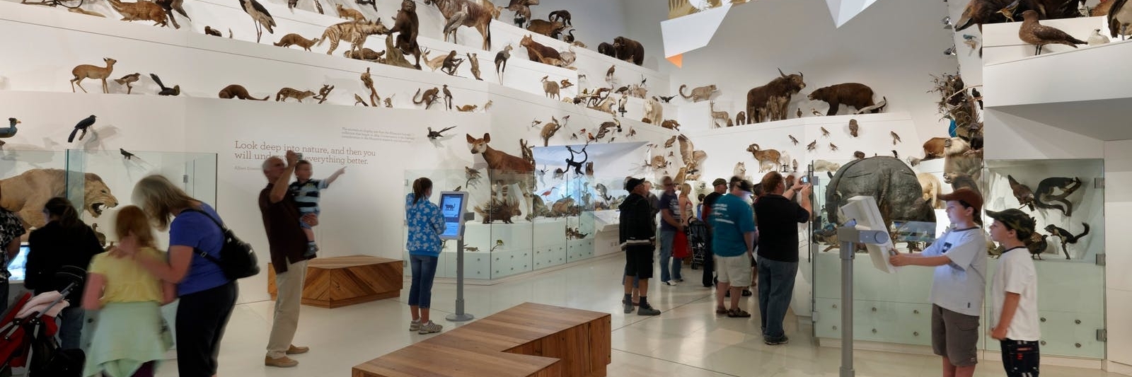 Bảo tàng Melbourne (Melbourne Museum)