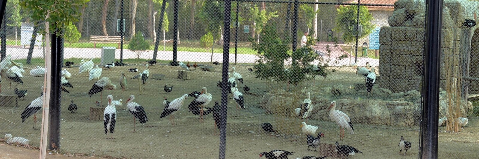 Sở thú Tarsus (Tarsus Hayvanat Bahcesi)
