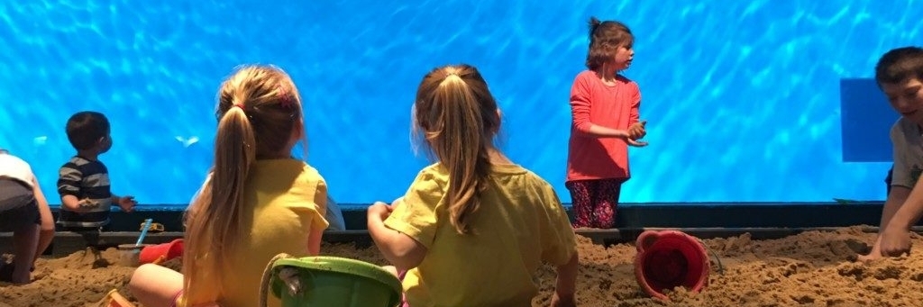 Sở thú Minnesota (Minnesota Zoo)