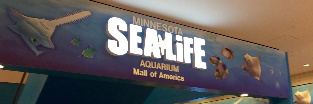 Thủy cung Sea Life ở Minnesota (Sea Life Minnesota Aquarium)