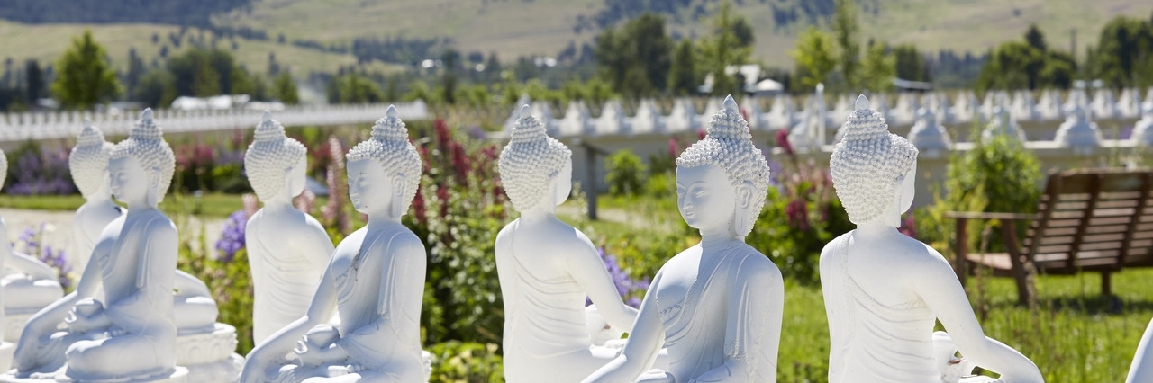 Vườn của 1000 vị Phật (Garden of One Thousand Buddhas)
