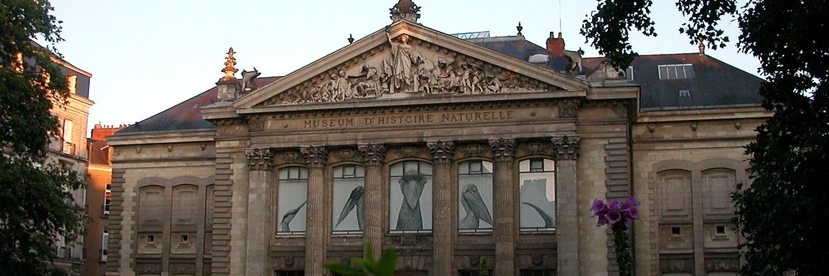 Bảo tàng Lịch sử Tự nhiên Nantes (Natural History Museum of Nantes)
