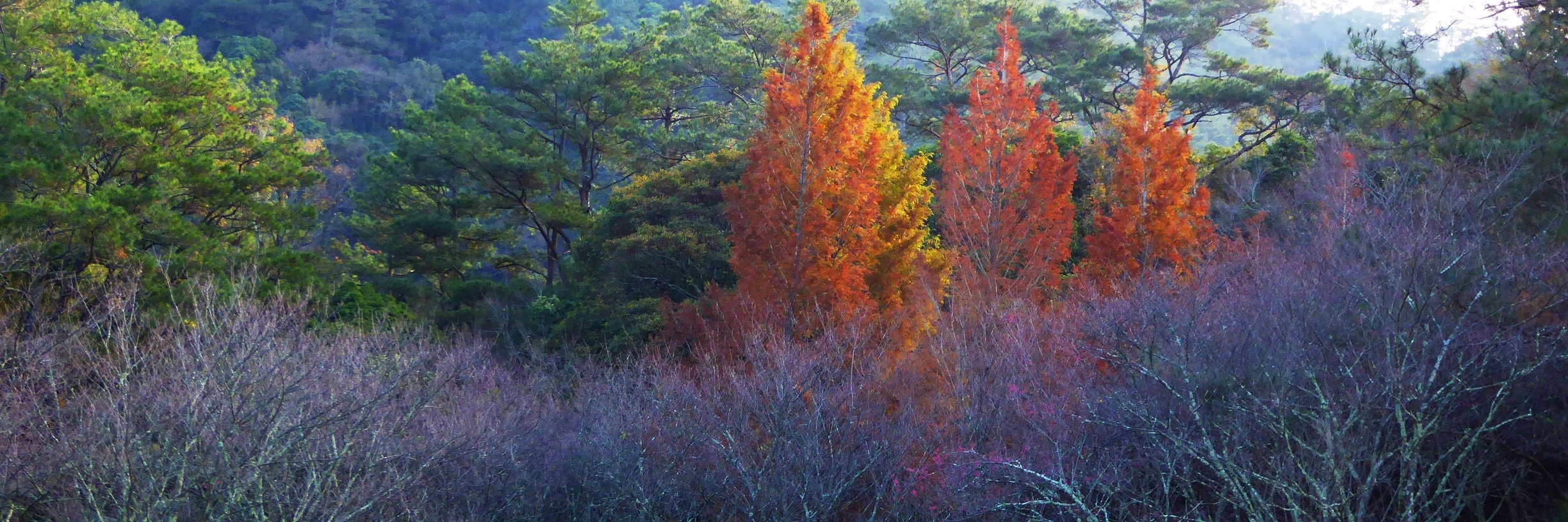Khu giải trí rừng quốc gia Aowanda (Aowanda National Forest Recreation Area)