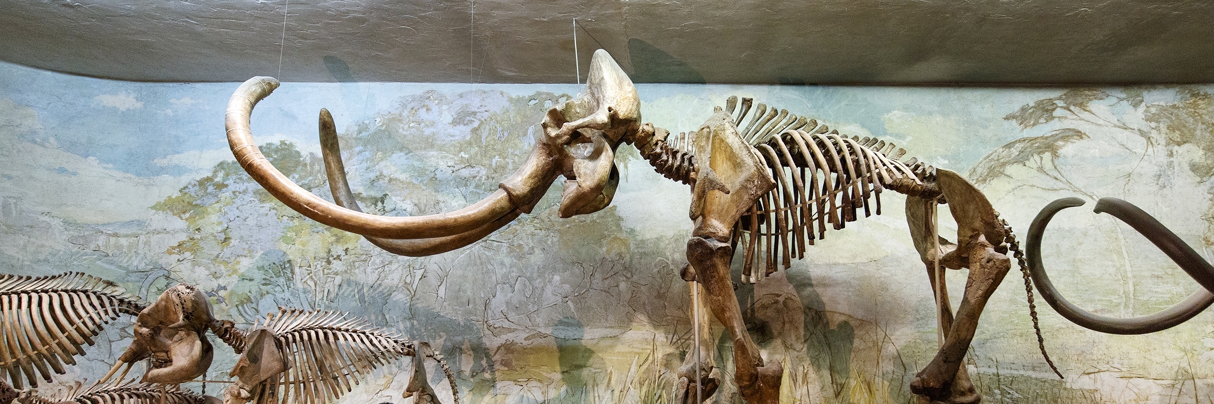 Bảo tàng trường đại học Nebraska (University of Nebraska State Museum)