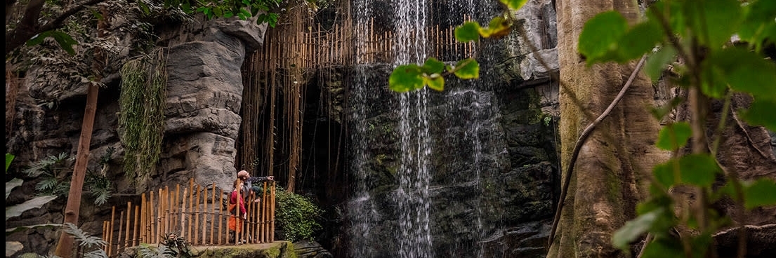 Sở thú Henry Doorly (Henry Doorly Zoo)