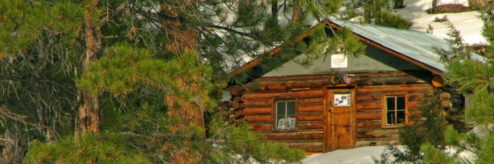Ngôi nhà bí ẩn trong rừng sâu (Hidden Forest Cabin)