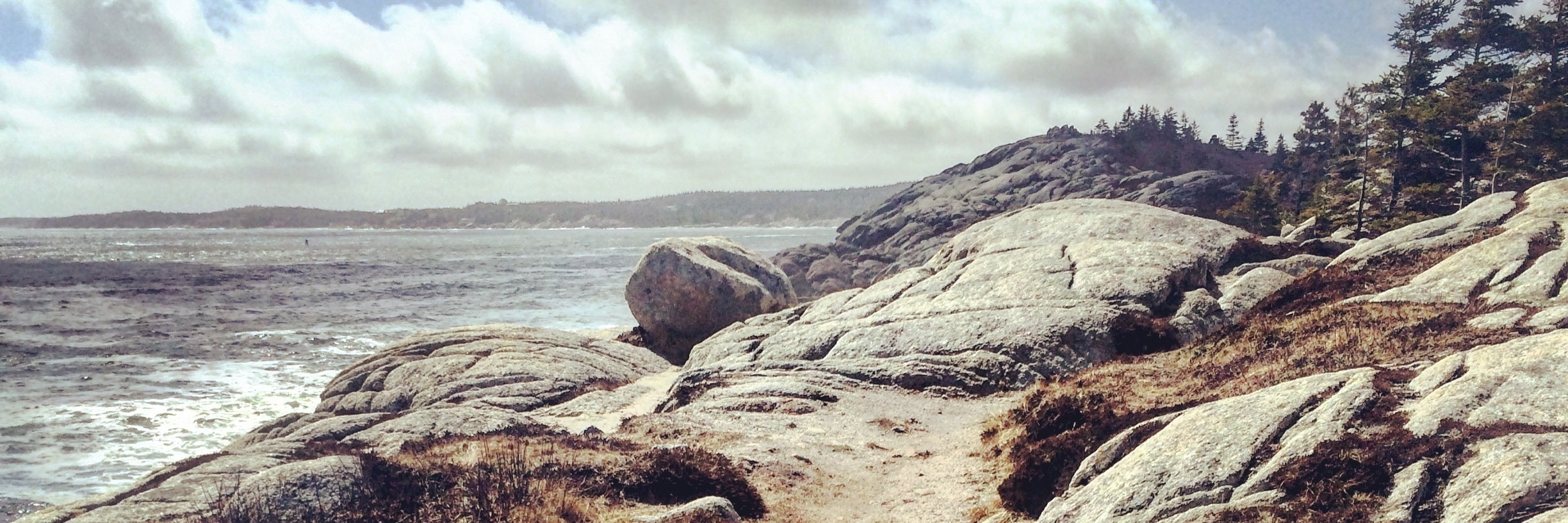 Công viên Herring Cove (Herring Cove Provincial Park)