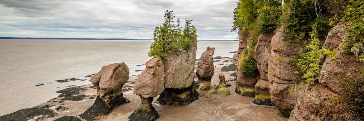 Đá Hopewell (Hopewell Rocks)