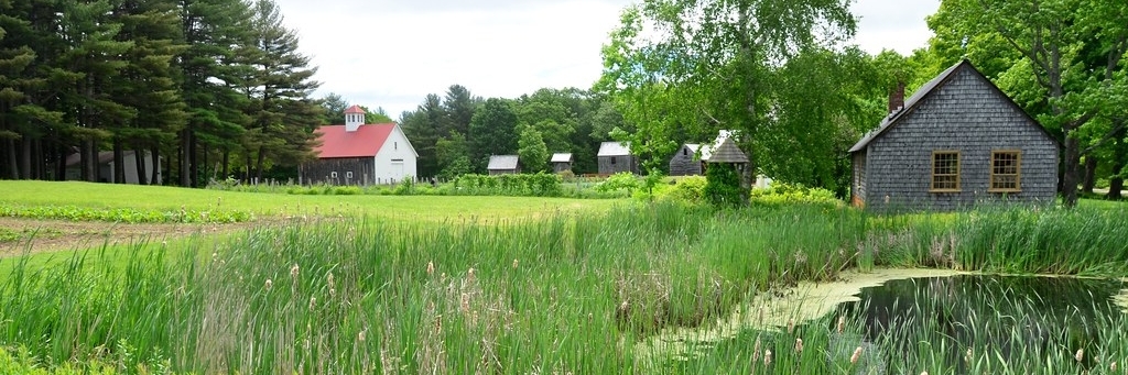 Bảo tàng trang trại cánh đồng (Muster Field Farm Museum)