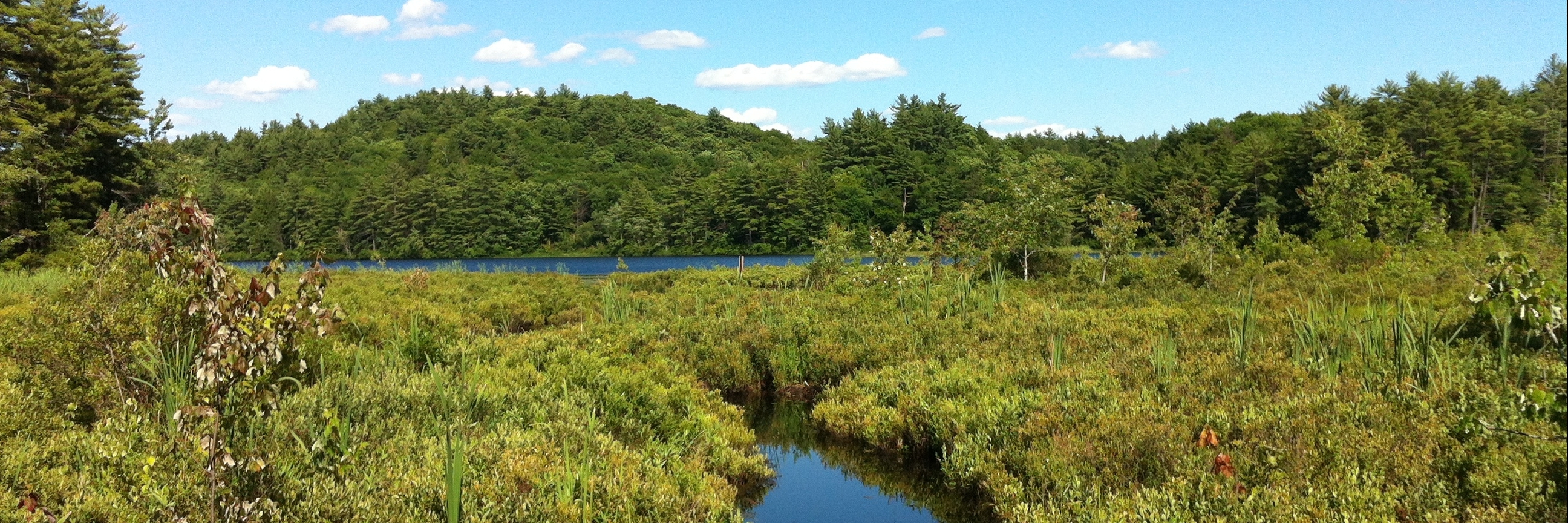 Công viên Bear Brook (Bear Brook State Park)