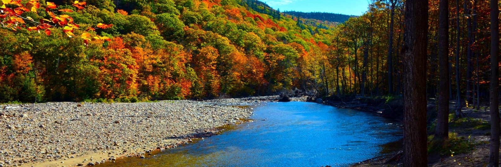 Công viên Crawford Notch (Crawford Notch State Park)