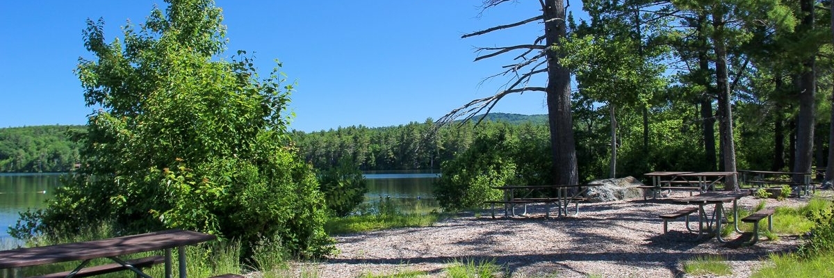 Công viên Greenfield (Greenfield State Park)